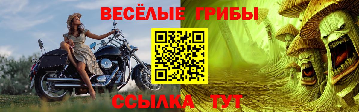 Галлюциногенные грибы мухоморы  Вход с VPN  Галлюциногенные грибы GOLDEN TEACHER  Костомукша 