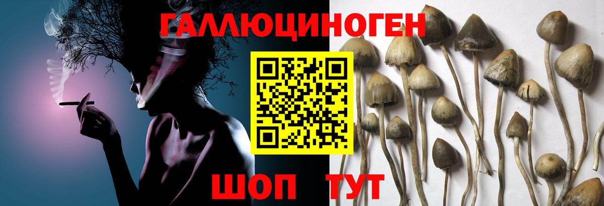 Галлюциногенные грибы Magic Shrooms Костомукша